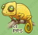 Pet