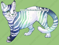 Pet