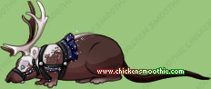 Pet
