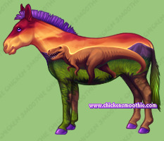Pet