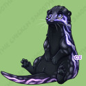 Pet