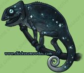 Pet