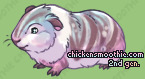 Pet