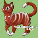 Pet