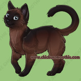 Pet