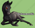 Pet