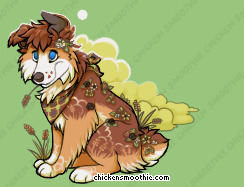 Pet