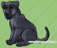 Pet