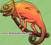 Pet