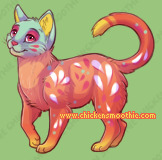 Pet