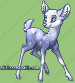 Pet