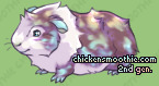 Pet