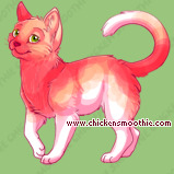 Pet