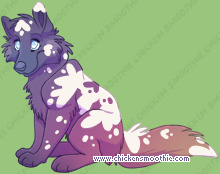 Pet