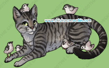 Pet