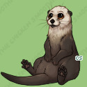 Pet