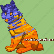 Pet