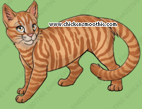 Pet