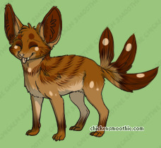 Pet