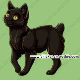 Pet