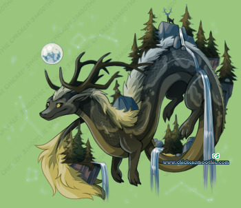 Pet