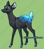 Pet