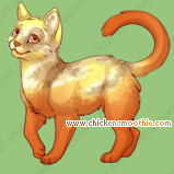 Pet