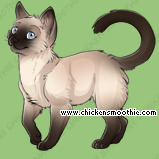 Pet