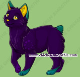 Pet