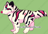 Pet