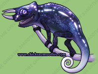 Pet