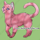 Pet
