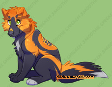 Pet