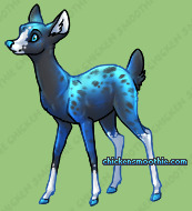 Pet