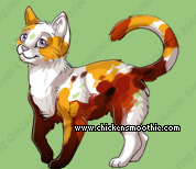 Pet