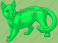 Pet