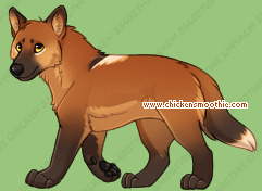 Pet