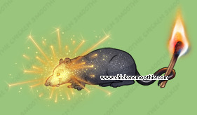 Pet