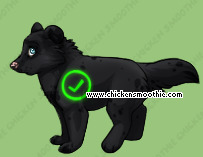 Pet