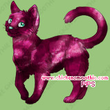 Pet