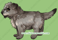 Pet