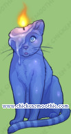 Pet