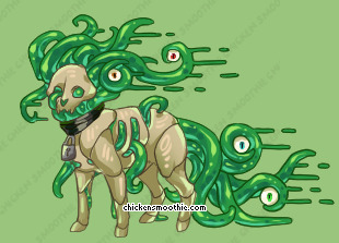 Pet