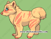 Pet