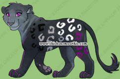 Pet