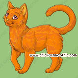 Pet