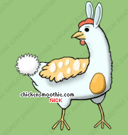 Pet