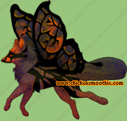 Pet