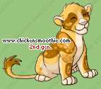 Pet