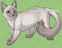 Pet